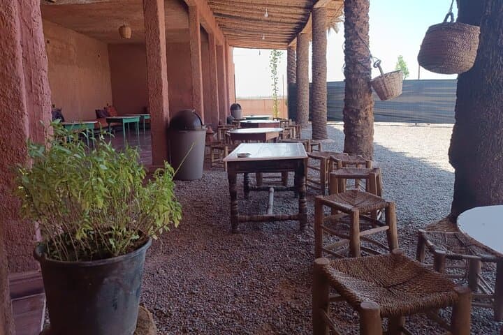 Marrakech Palmeraie Buggy Tour: 3-Hour Off-Road Adventure in the Desert photo 4