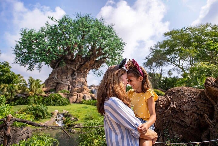 Ultimate Guide to Walt Disney World Orlando Park Hopper Plus Tickets: Experience More Than Just Theme Parks photo 6
