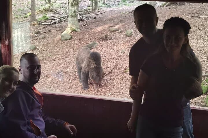 Transylvania Brown Bear Hide Experience from Brașov photo 6