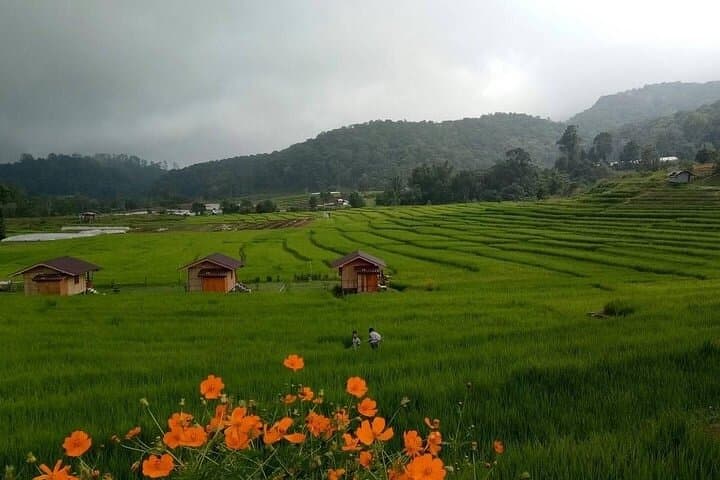 Pha Dok Siaw Day Trek: Doi Inthanon Summit, Twin Pagodas & Karen Coffee Experience photo 6