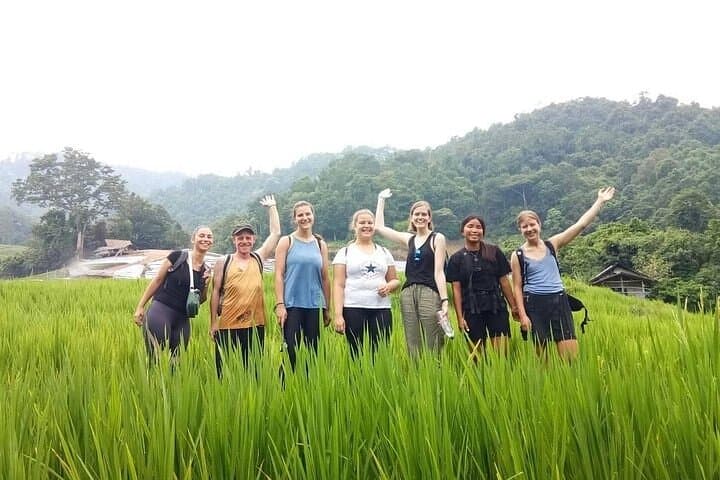 Pha Dok Siaw Day Trek: Doi Inthanon Summit, Twin Pagodas & Karen Coffee Experience