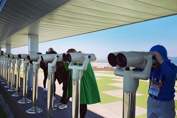 Private DMZ Tour from Seoul: Third Tunnel, Dora Observatory & Imjingak photo 5