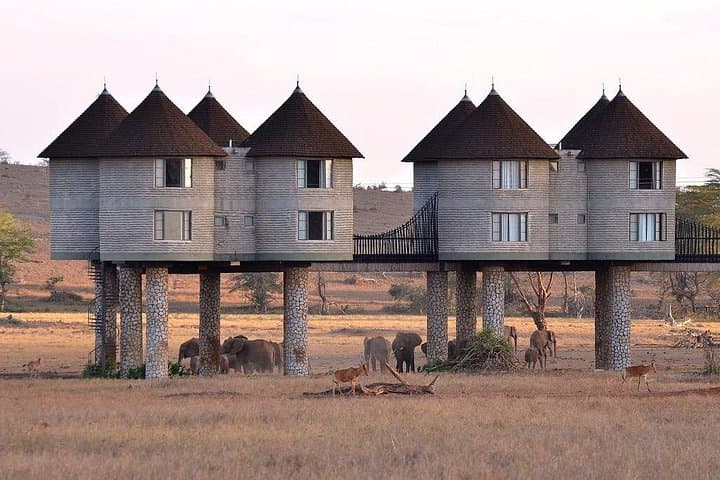 Overnight Safari to Salt Lick Lodge: 2-Day Game Drive from Mombasa photo 2