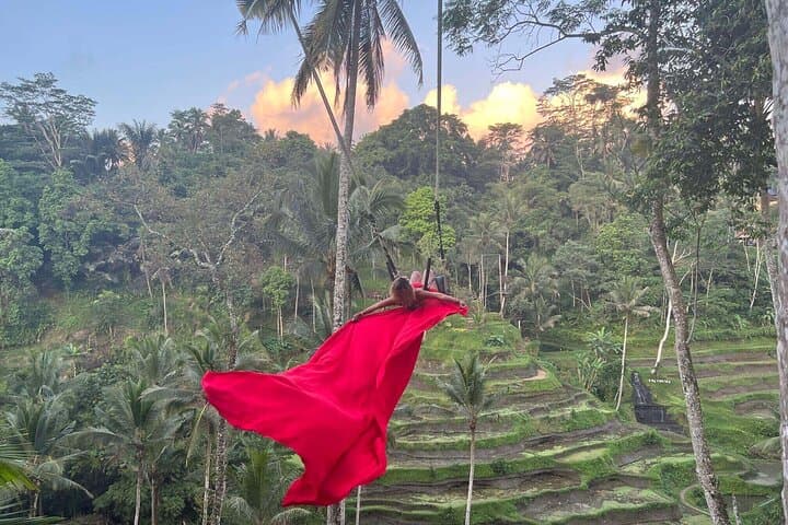 Ubud Private Tour: Monkey Forest, Tegalalang Rice Terraces & Waterfall Day Trip photo 2