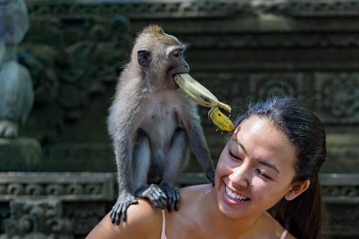 Ubud Private Tour: Monkey Forest, Tegalalang Rice Terraces & Waterfall Day Trip photo 5