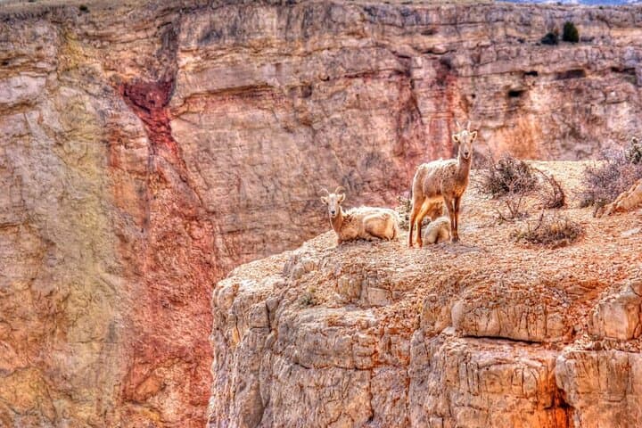 Red Rock Canyon Self-Guided Driving Audio Tour: Scenic 13-Mile Loop with Audio Guide photo 6