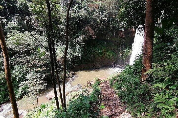 Purple Tea Farm Tour from Nairobi: Hands-On Harvest, Orthodox Tea Workshop & Waterfall Trek photo 3