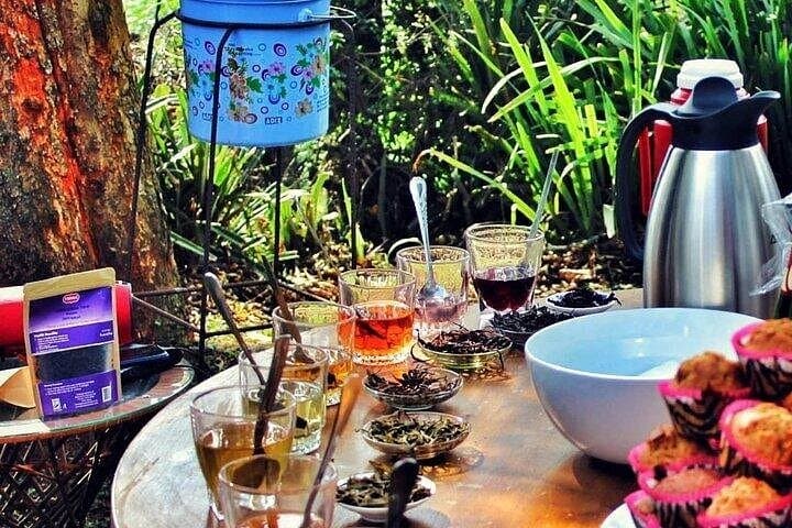 Purple Tea Farm Tour from Nairobi: Hands-On Harvest, Orthodox Tea Workshop & Waterfall Trek photo 4