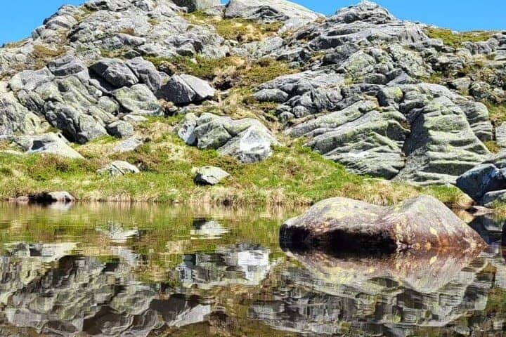 Exploring Bergen on Foot: A Flexible Group City Walking Tour photo 6