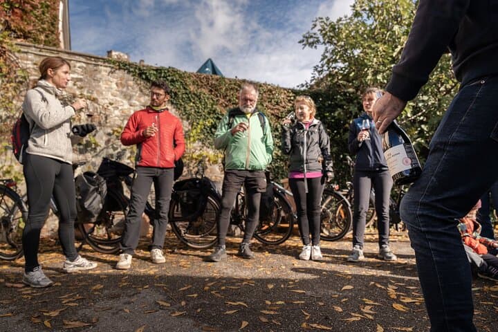Beaujolais Electric Bike Tour and Wine Tasting (From Lyon) photo 1