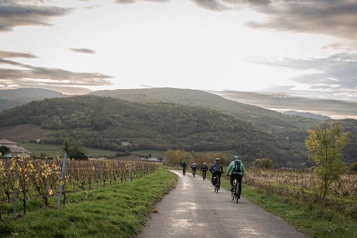 Beaujolais Electric Bike Tour and Wine Tasting (From Lyon) photo 2