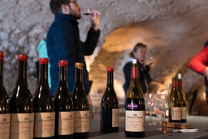 Beaujolais Electric Bike Tour and Wine Tasting (From Lyon) photo 3