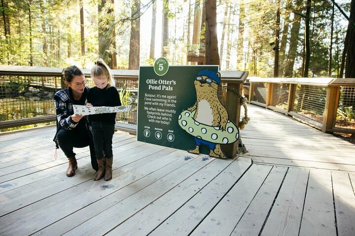 Capilano Suspension Bridge Park: Bridge, Cliffwalk & Treetops Near Vancouver photo 5
