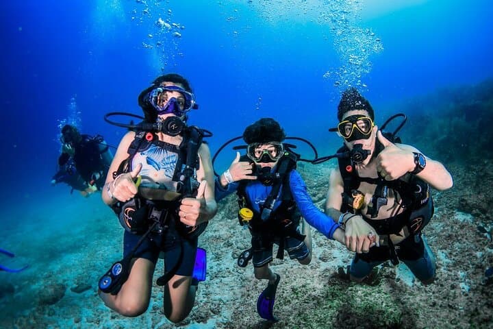 3-Day PADI Open Water Course at Maroma Beach — 4 Immersions in the Mexican Caribbean