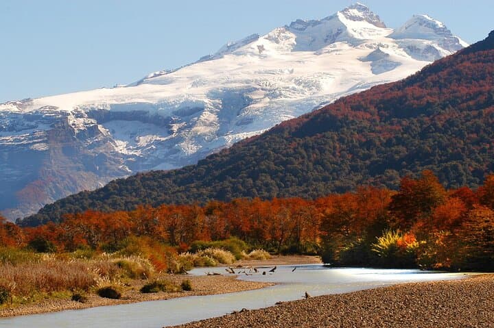 Full-Day Cerro Tronador Hike: Ventisquero Negro & Pampa Linda from Bariloche photo 3
