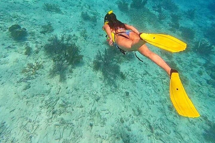 Two-Stop Marine Park Snorkel from Kralendijk — Swim & Reef Bonaire photo 4