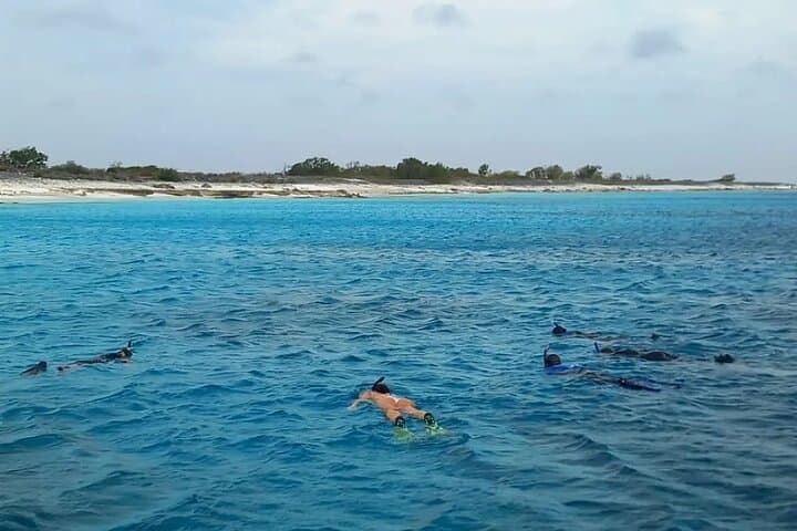 Two-Stop Marine Park Snorkel from Kralendijk — Swim & Reef Bonaire photo 2