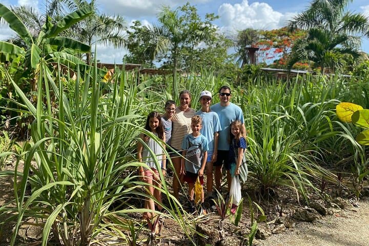 Punta Cana Cultural Half-Day: Cocoa, Cigars & Higüey Basilica Tour photo 2