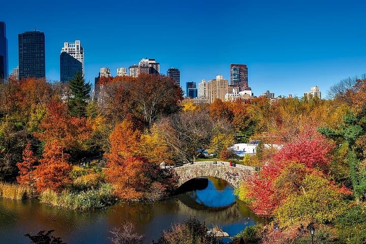 Shakespeare in Central Park: Self-Guided Story Quest & Walking Game