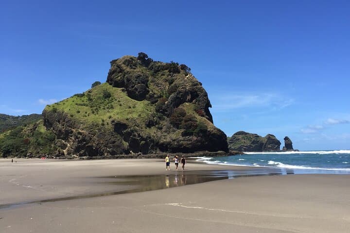 Piha Waitakere Rainforest and West Coast Wine Tour from Auckland photo 4