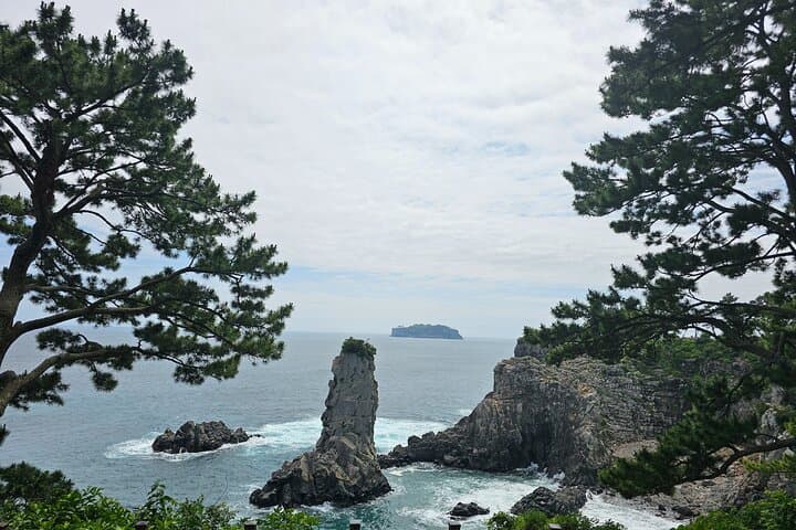 South Jeju Private Day Tour — Jeongbang Falls, Jusangjeolli & Yongmeori Coast photo 4