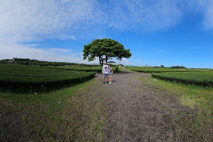 South Jeju Private Day Tour — Jeongbang Falls, Jusangjeolli & Yongmeori Coast photo 6