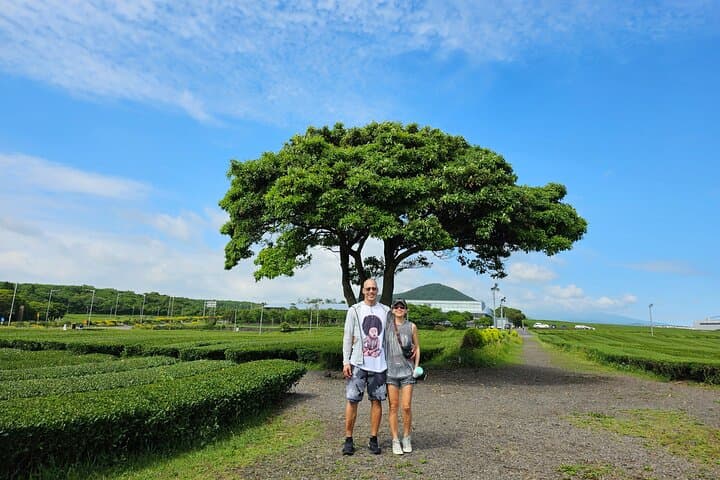 South Jeju Private Tour — Halla, Waterfalls & Yongmeori Coast photo 6