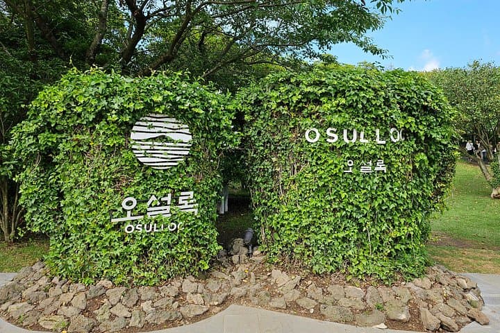 West Jeju Private Day Tour — Hyeopjae Beach, Osulloc & Coastal Drives photo 2