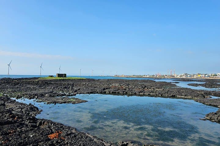 West Jeju Private Day Tour — Hyeopjae Beach, Osulloc & Coastal Drives photo 3
