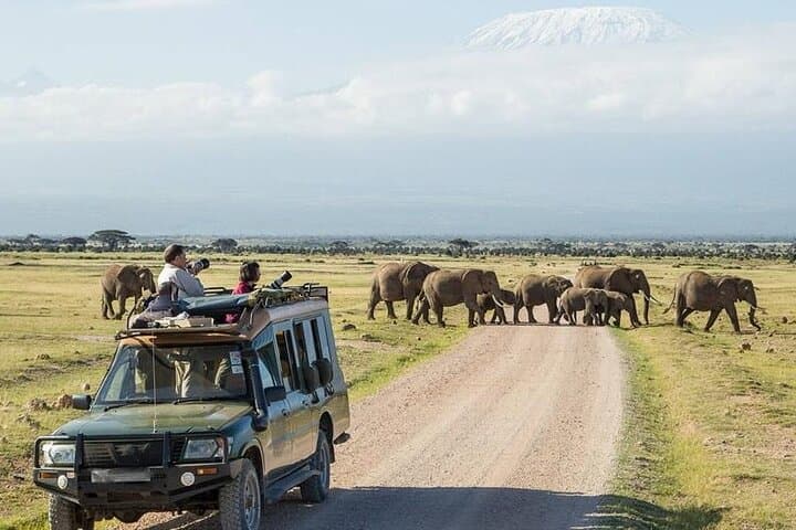 Amboseli Overnight Safari: Elephants, Predators and Kilimanjaro Views photo 6