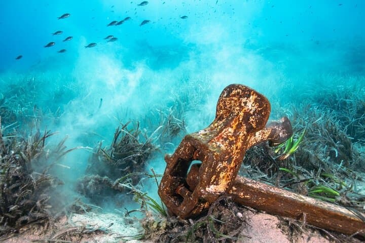 Glass-Bottom Hydrofoil Tour in Nassau — Semi-Submersive Bahamas Boat Experience photo 2