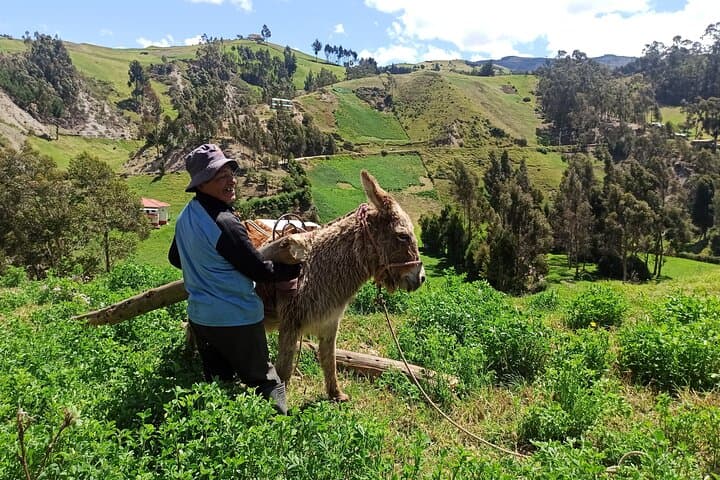 Devil's Nose Train & Ingapirca Ruins: Full-Day Hike and History from Cuenca