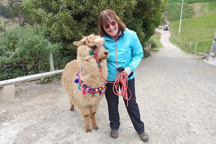 Devil's Nose Train & Ingapirca Ruins: Full-Day Hike and History from Cuenca photo 5