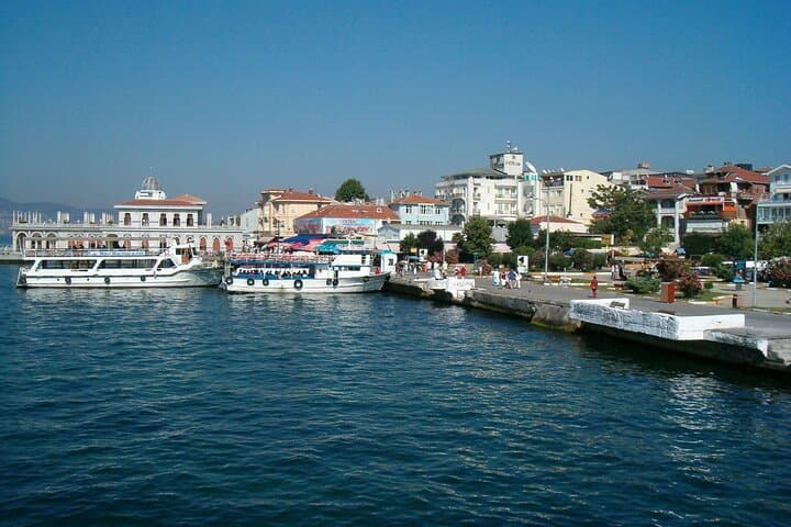 Full-Day Princes' Islands Tour from Istanbul: Ferry, Forests & Ottoman Mansions photo 5