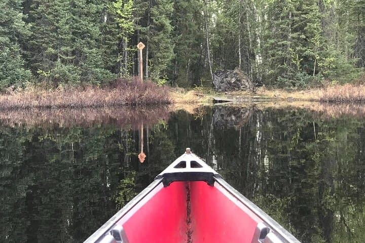 Self-Guided Alaskan Canoe Adventure on Nancy Lake: Paddle, Portage, and Wildlife photo 2