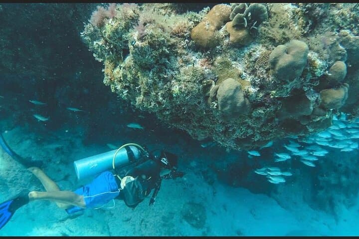 San Pedro Local Diving Experience on the Mesoamerican Reef photo 2