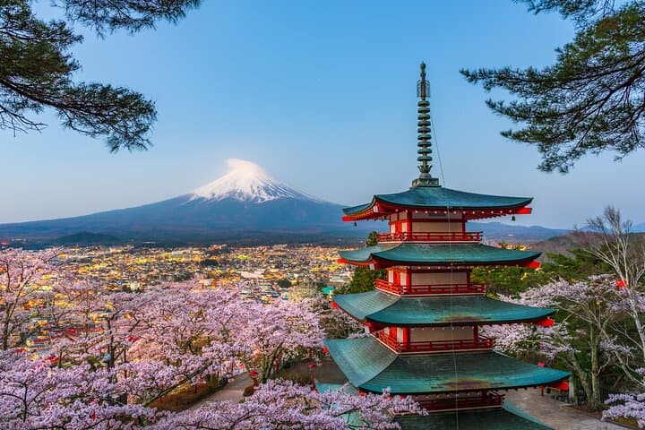Private Mt Fuji and Hakone Day Trip from Tokyo