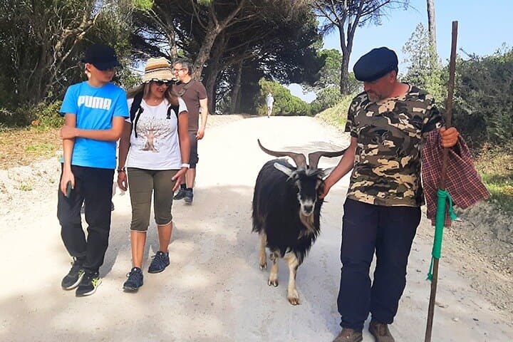 Cheese Walk with a Goat Shepherd in Azeitão — Arrábida Hike & Cheese Workshop photo 5