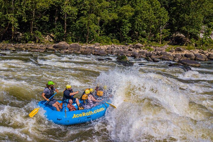 Lower New River Gorge Full-Day Whitewater Rafting from Fayetteville WV photo 4