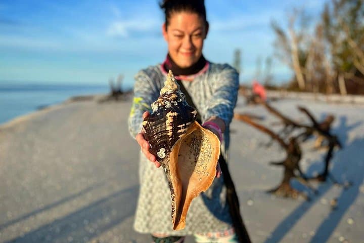Private Shelling Tour in the Ten Thousand Islands — 4‑Hour Goodland Boat Excursion photo 1