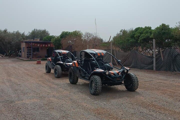 Marrakech Palmeraie Buggy Adventure: Half-Day Desert Excursion photo 6