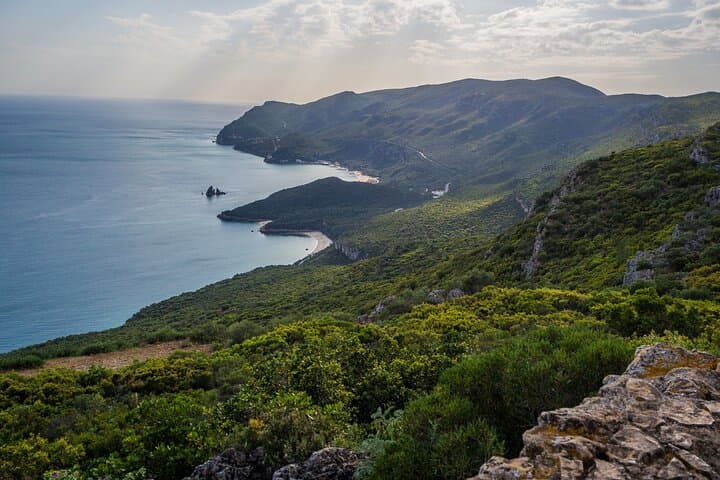 Arrábida & Sesimbra Day Tour with 5-Wine Tasting from Lisbon