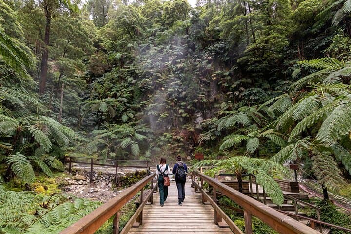 Lagoa do Fogo Biologist-Guided Volcano Tour & Hot Springs Bath — São Miguel Day Trip photo 4