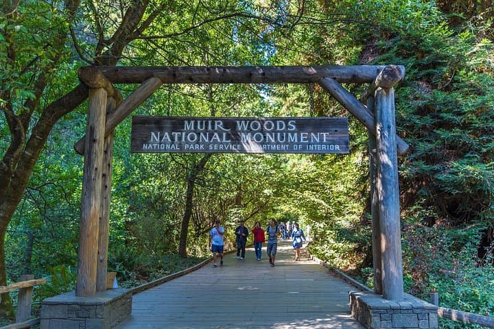 San Francisco to Muir Woods & Sausalito — Full-Day Tour with Optional Alcatraz photo 3
