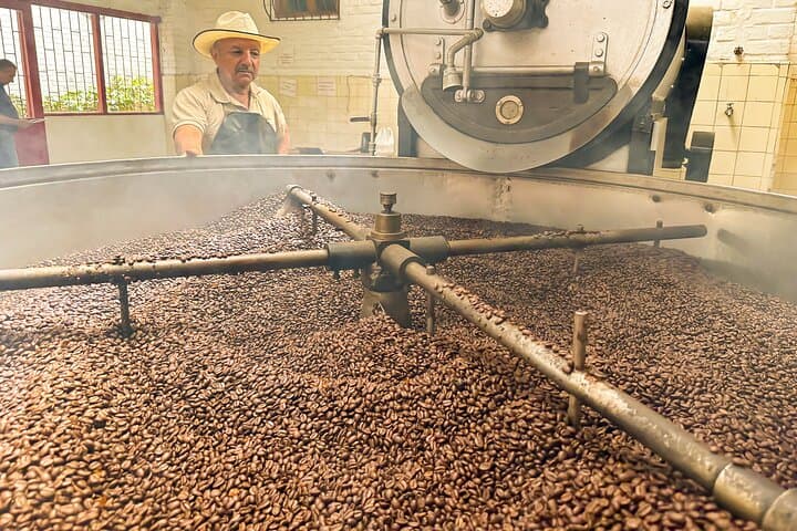 Bogotá to Hacienda Coloma: Full-Day Coffee Farm Experience