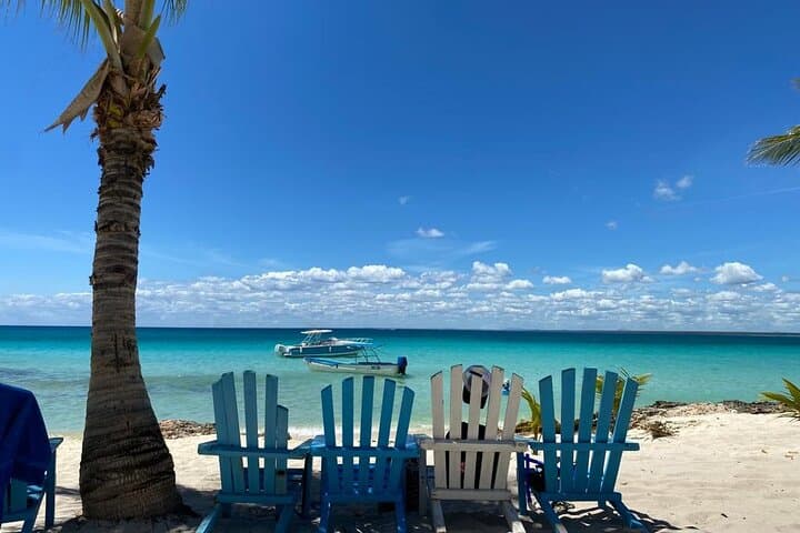Full-Day Private Tour to Saona Island, Bayahibe & Cotubanamá National Park