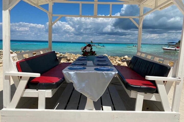 Full-Day Private Tour to Saona Island, Bayahibe & Cotubanamá National Park photo 3