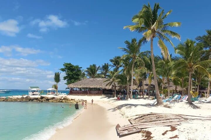 Full-Day Private Tour to Saona Island, Bayahibe & Cotubanamá National Park photo 5