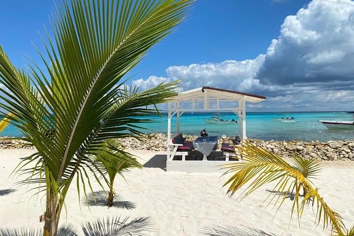 Full-Day Private Tour to Saona Island, Bayahibe & Cotubanamá National Park photo 6