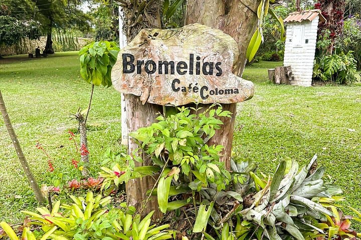 Bogotá to Hacienda Coloma: Full-Day Coffee Farm Experience photo 4